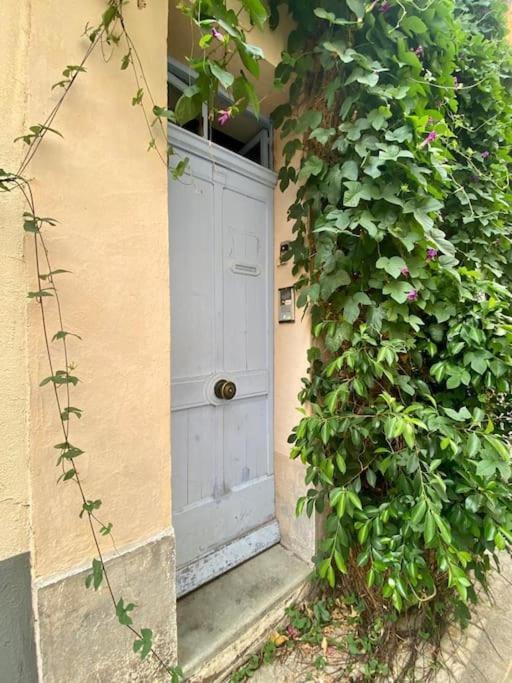 Click! Casa Lamartine Fabulous Ideal Location Walk To All!!! Cassis Buitenkant foto